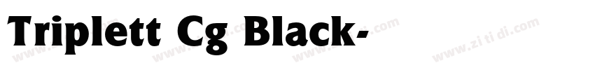 Triplett Cg Black字体转换